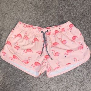 Flamingo shorts